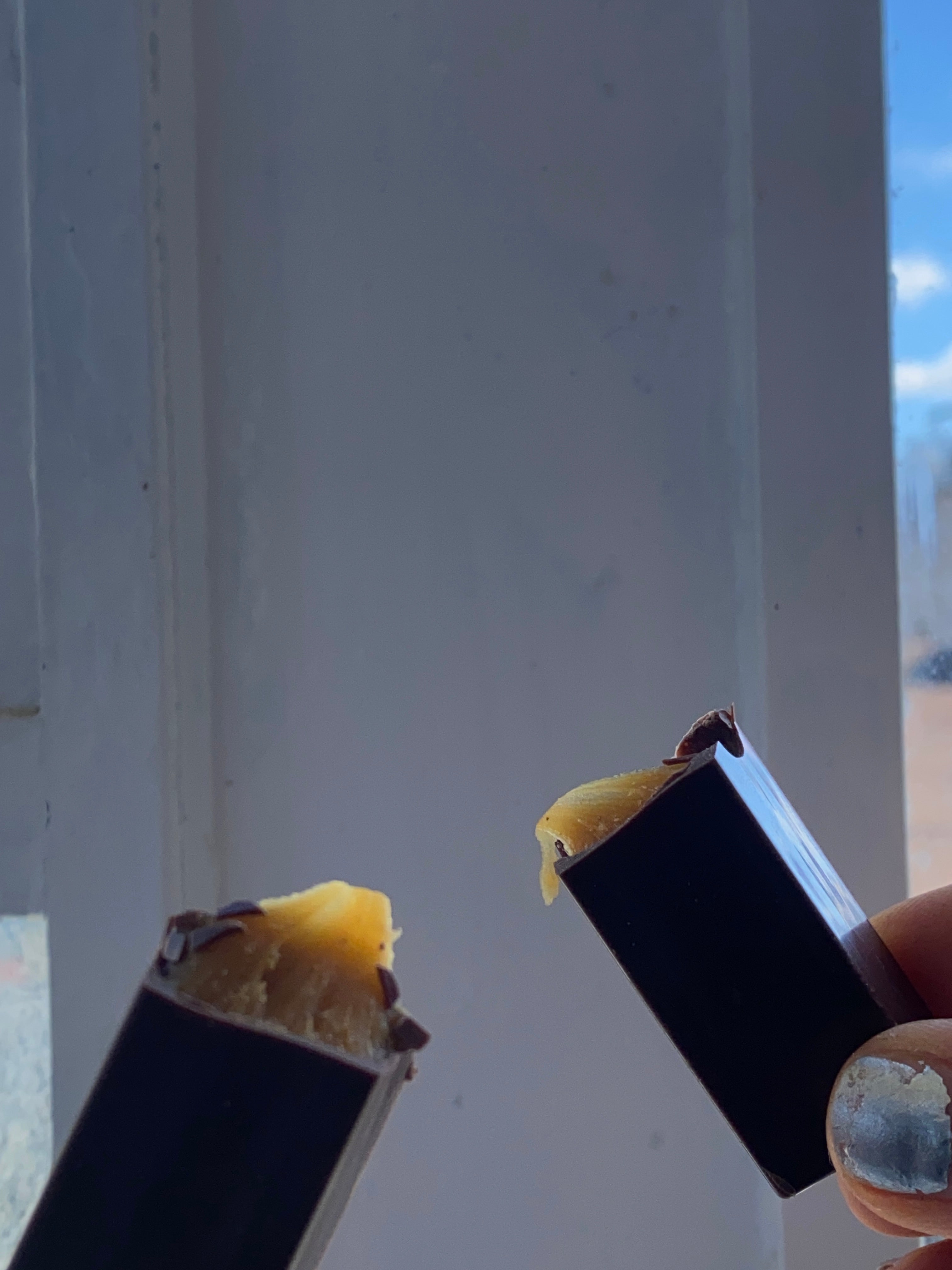 Salted caramel filled bars